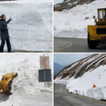 video deszapezirea pe transalpina continua imagini cu troienele de pe marginea soselei care ating chiar si doi metri inaltime 6809e673276e9