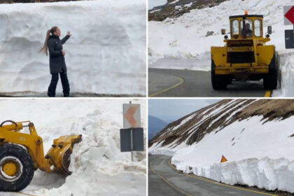 video deszapezirea pe transalpina continua imagini cu troienele de pe marginea soselei care ating chiar si doi metri inaltime 6809e673276e9