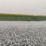 video grindina puternica pe dn 38 intre amzacea si comana a fost emisa avertizare ro alert 680cbfe693086