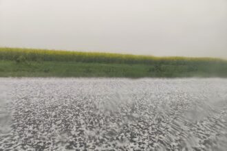video grindina puternica pe dn 38 intre amzacea si comana a fost emisa avertizare ro alert 680cbfe693086