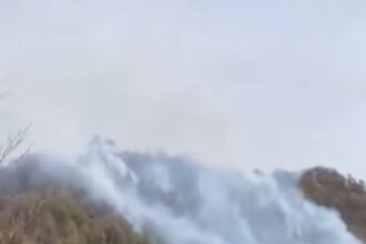 video incendiul de amploare dintr o padure din arges nestins nici dupa 24 ore a fost chemat si un elicopter black hawk 6803684509342