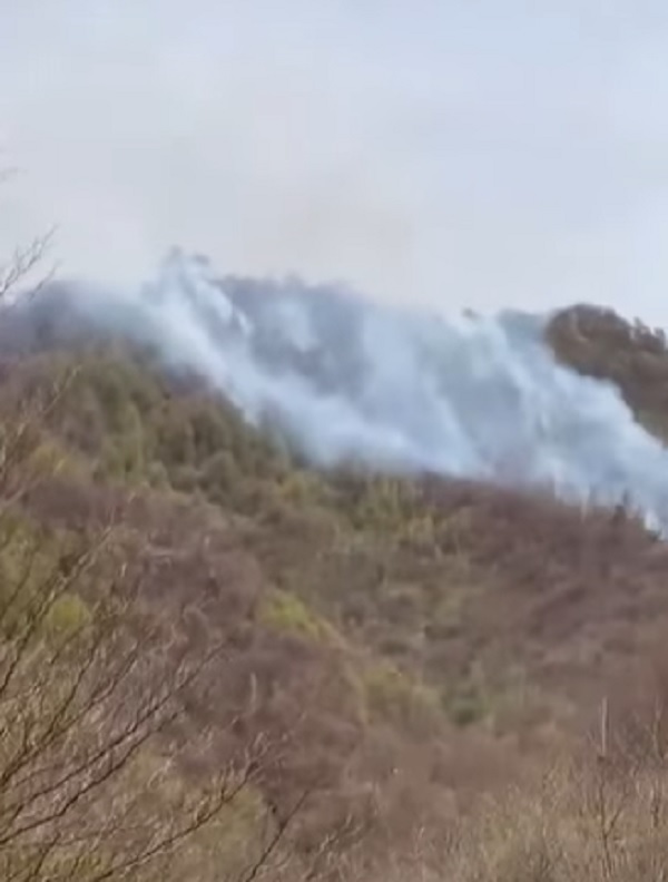 video incendiul de amploare dintr o padure din arges nestins nici dupa 24 ore a fost chemat si un elicopter black hawk 6803684509342