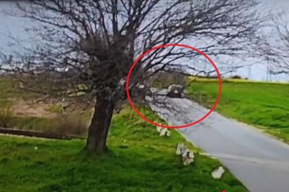 video momentul impactului de la accidentul rutier din lumina unde doua persoane au murit 67f7ab65659a8