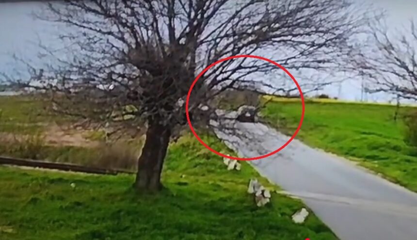 video momentul impactului de la accidentul rutier din lumina unde doua persoane au murit 67f7ab65659a8