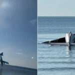 video momentul in care un avion al politiei thailandeze se prabuseste in mare sase persoane au murit 680bef78d9987
