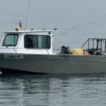 video pescador neinregistrat propulsat de un motor furat cu peste 760 kilograme de peste la bord si 3 600 metri de plasa depistate de politistii de frontiera 67f3ba48c67d5