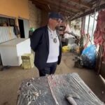 video piedone in control la o ferma de langa bucuresti unde se taiau miei si iezi ce au descoperit comisarii 67ff4d763314f