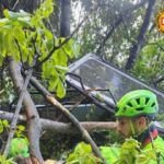 video telecabina prabusita langa napoli patru persoane au murit 6801e9e870ed4
