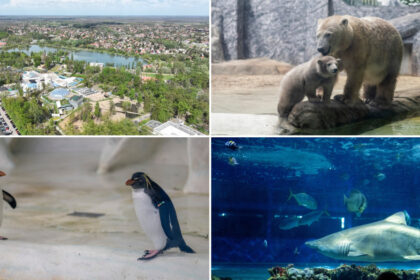 videofoto gradina zoo din ungaria in care traiesc 5 000 de animale mii de romani ii trec anual pragul e o senzatie incredibila 6809b93573841