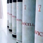 vinul zilei un cupaj cu note de fructe rosii condimente textura catifelata si o aciditate proaspata savuros alaturi de carne de miel pui vita sau branzeturi 680b27c6c5981