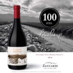 vinul zilei un malbec spectaculos din valea uco argentina un vin care atinge perfectiunea obtinand 100 de puncte robert parker 67fb559c17389