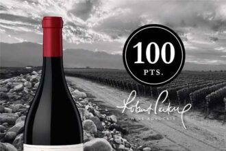 vinul zilei un malbec spectaculos din valea uco argentina un vin care atinge perfectiunea obtinand 100 de puncte robert parker 67fb559c17389