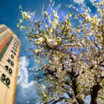 vremea se incalzeste dupa valul de frig sunt asteptate temperaturi de pana la 20 de grade 67fba258dfe06