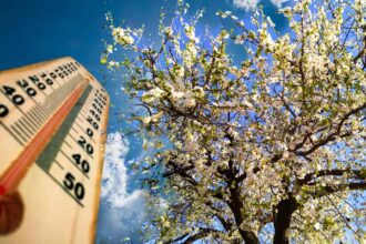vremea se incalzeste dupa valul de frig sunt asteptate temperaturi de pana la 20 de grade 67fba258dfe06