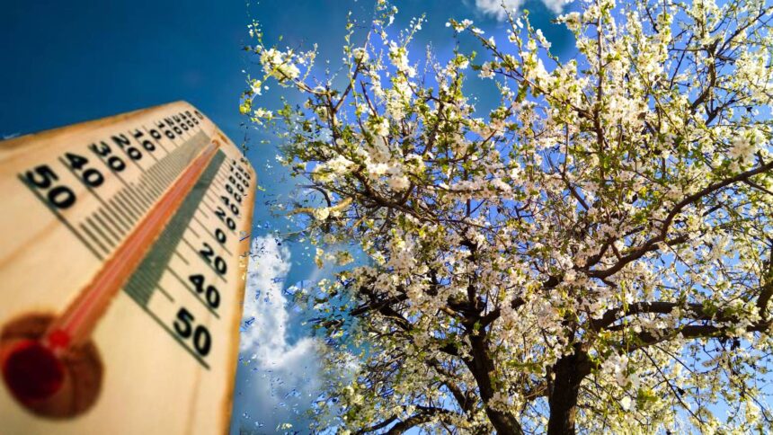 vremea se incalzeste dupa valul de frig sunt asteptate temperaturi de pana la 20 de grade 67fba258dfe06