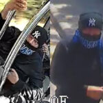 a fost prins barbatul care a vandalizat autobuzele ct bus cine este acesta si ce sanctiune a primit 68371bbc470a5