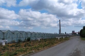 administratia locala vrea sa revitalizeze si zona agro industriala a municipiului dar se impotmoleste pe drum 68338bdc52867