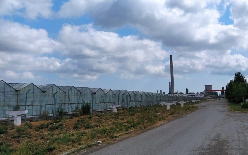 administratia locala vrea sa revitalizeze si zona agro industriala a municipiului dar se impotmoleste pe drum 68338bdc52867