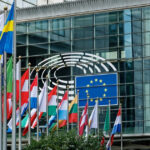 altercatie intre o eurodeputata suedeza de origine romana si o angajata de la un alt grup parlamentar care a fost motivul 682f700a8af47