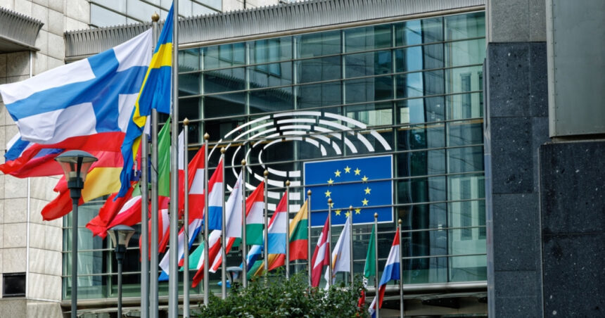 altercatie intre o eurodeputata suedeza de origine romana si o angajata de la un alt grup parlamentar care a fost motivul 682f700a8af83