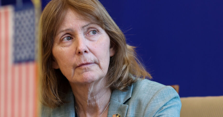 ambasadoarea sua la bucuresti kathleen kavalec se retrage michael dickerson va ocupa functia de charge daffaires ad interim 682c28ae75892