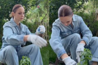 andreea marin in ipostaze de nerecunoscut in salopeta si cu mainile in pamant munceste in gradina 682844363d413