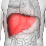 anumite proteine din sange pot anticipa boala hepatica chiar si cu 16 ani inainte de declansare 6815b7652350f