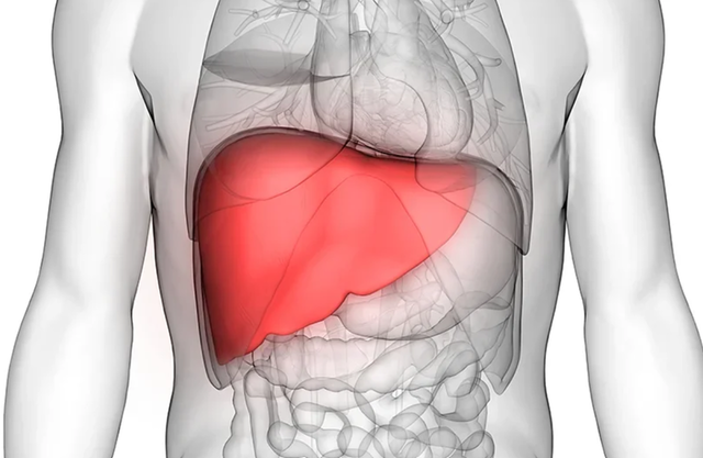 anumite proteine din sange pot anticipa boala hepatica chiar si cu 16 ani inainte de declansare 6815b7652350f