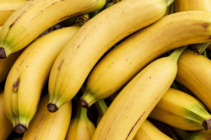 bananele in pericol ce anume le ameninta culturile 68220025cee65