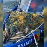 braconaj in delta dunarii pe lacurile bogdaproste si trei iezere iata ce a descoperit garda de coasta 6818b60dc71a3