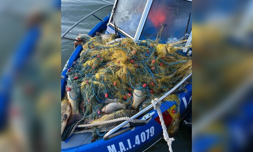braconaj in delta dunarii pe lacurile bogdaproste si trei iezere iata ce a descoperit garda de coasta 6818b60dc71a3