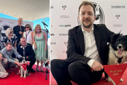 cannes 2025 un ciobanesc islandez a primit trofeul palme dog pentru cea mai buna interpretare canina 68337f364e45a