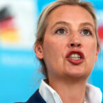 ce spune ministrul german de interne despre posibilitatea interzicerii partidului extremist afd 682cd2fbafc80