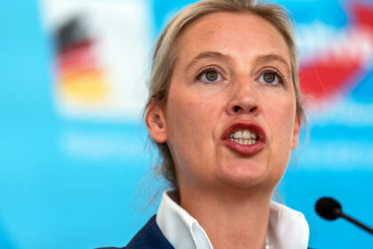 ce spune ministrul german de interne despre posibilitatea interzicerii partidului extremist afd 682cd2fbafc80