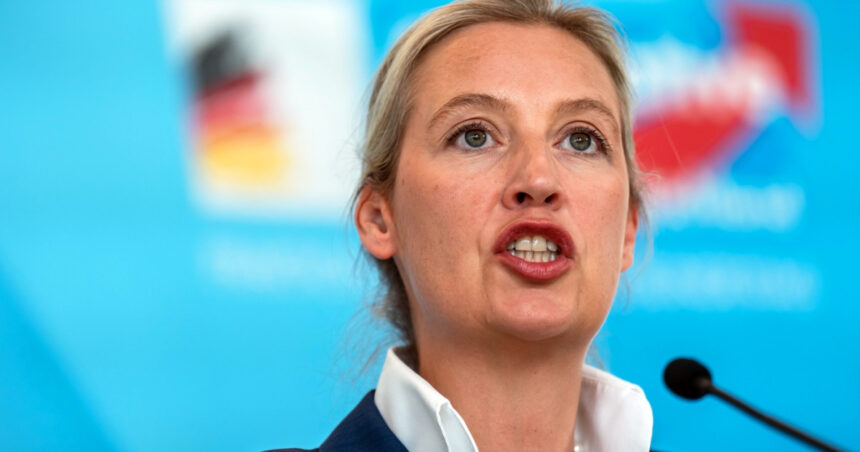 ce spune ministrul german de interne despre posibilitatea interzicerii partidului extremist afd 682cd2fbafc80