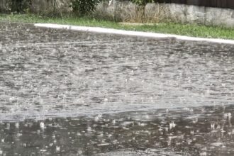 cod galben de ploi si vijelii in constanta si tulcea 6832e8ff15fe7