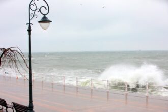 cod galben de vant puternic la constanta primaria roaga soferii sa nu parcheze in dreptul copacilor 68284d021e1bf