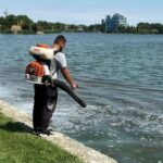 constanta actiuni de delarvizare pe malurile lacurilor siutghiol si tabacarie 681b60b8332e3
