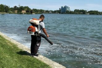 constanta actiuni de delarvizare pe malurile lacurilor siutghiol si tabacarie 681b60b8332e3