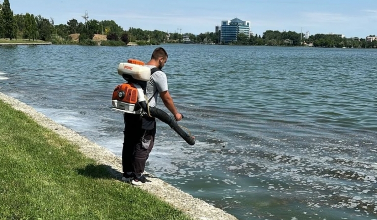 constanta actiuni de delarvizare pe malurile lacurilor siutghiol si tabacarie 681b60b8332e3