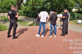 cruci vandalizate in cimitirul eroilor politia locala condamnam ferm astfel de fapte 6836ac872c477