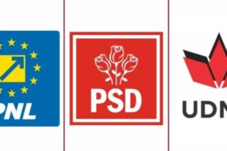 dezastru pentru pnl psd udmr la constanta simion 4445 nicusor dan 201 crin antonescu 1522 ponta 1274 6817d507d3282