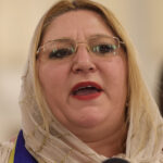 diana sosoaca apel catre politicienii straini si liderii europeni nu va mai amestecati in alegerile din romania 6824d538f1935