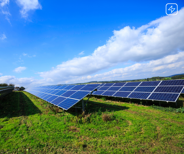 estimare cati bani a incasat nepotul lui marcel ciolacu din vanzarea detinerilor de cate 50 la 2 dezvoltatori de proiecte de parcuri fotovoltaice subventionate prin pnrr 682e5a2975d17