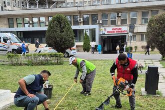 foto asociatia act for tomorrow amenajeaza zilele acestea spatiul verde din curtea spitalului judetean constanta 682763434e4bb