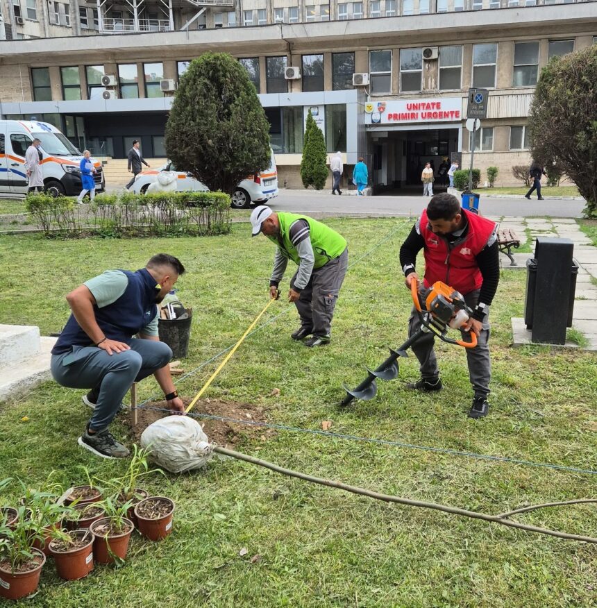 foto asociatia act for tomorrow amenajeaza zilele acestea spatiul verde din curtea spitalului judetean constanta 682763434e4bb