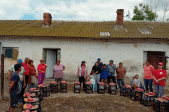 foto in ziua inaltarii domnului asociatia suflete deschise a oferit daruri persoanelor aflate in nevoie si a lansat un indemn pentru toti crestinii 683873238e8b3
