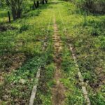 foto mocanita de pe valea bistritei singura de la sud de carpati propusa pentru un circuit turistic prin oltenia de sub munte 681af9a21912f