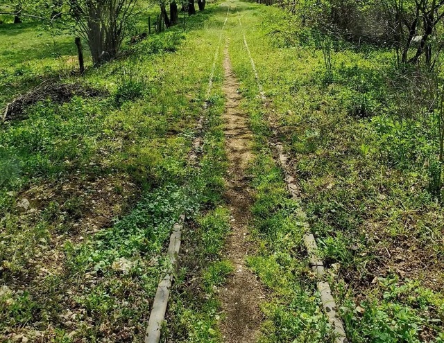 foto mocanita de pe valea bistritei singura de la sud de carpati propusa pentru un circuit turistic prin oltenia de sub munte 681af9a21912f
