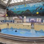 foto video de ce nu poate fi deschis inca delfinariul din constanta danut dinca directorul cmsn vesti bune despre momentul cand vor avea loc primele spectacole 681b9f5a68207